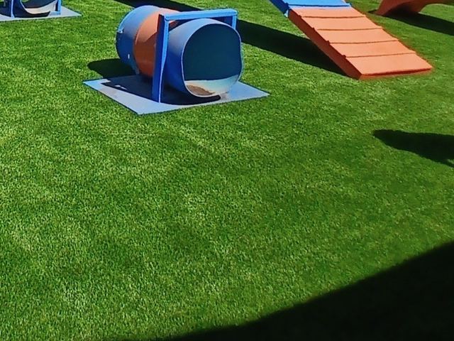 K9 Run 50 artificial grass installed